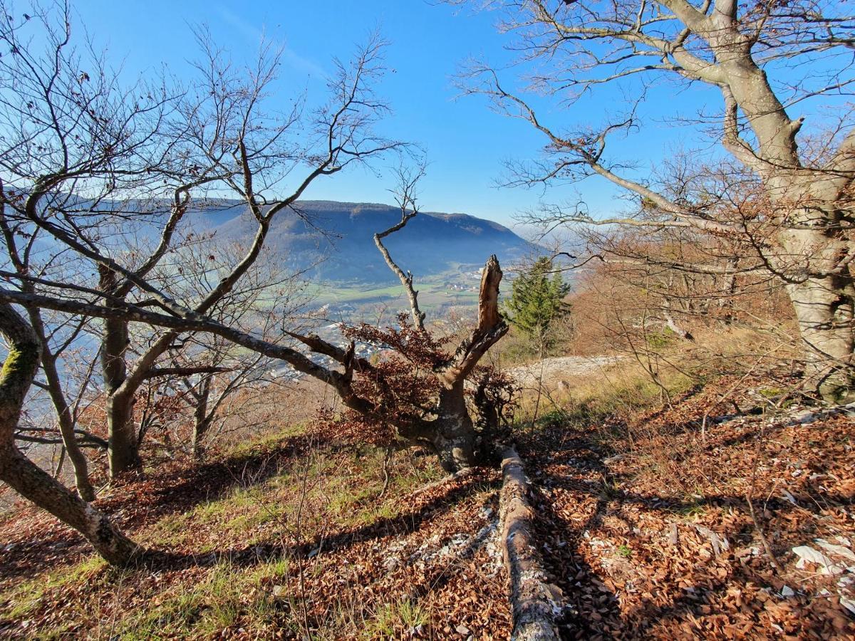 Quiet Business Flat Or Vacation Home In Bad Urach Eksteriør bilde