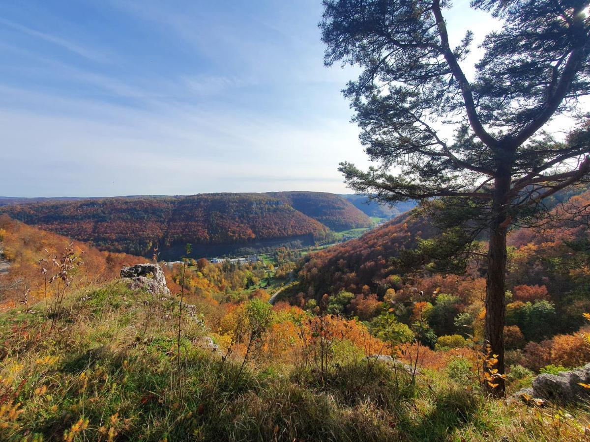 Quiet Business Flat Or Vacation Home In Bad Urach Eksteriør bilde
