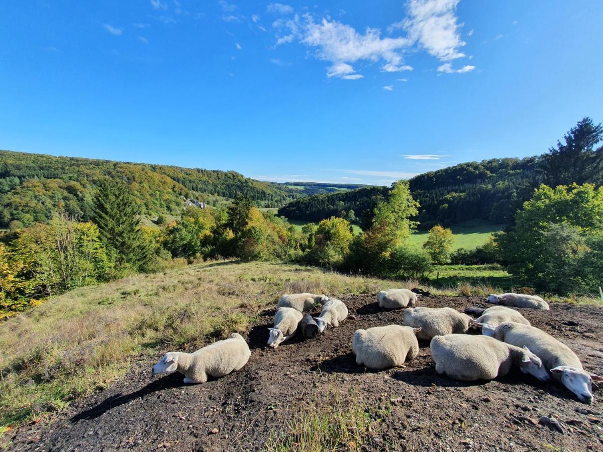Quiet Business Flat Or Vacation Home In Bad Urach Eksteriør bilde